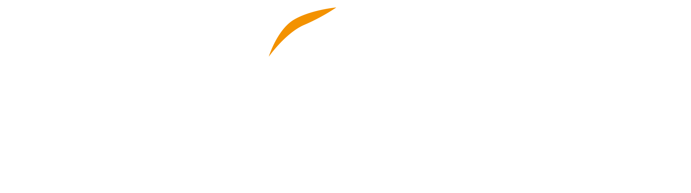 logo_hairsalon_template